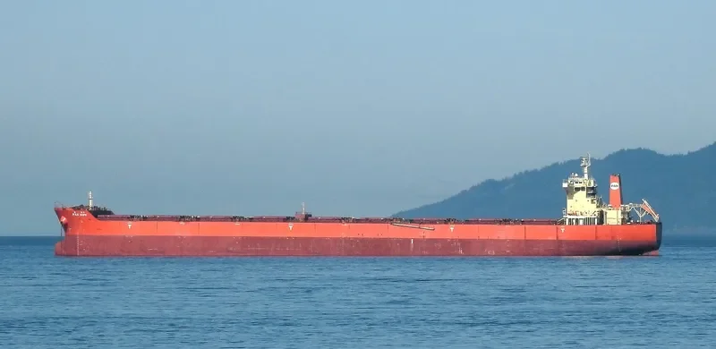 PAN HOPE Bulk Carrier IMO 9468724 photo 9