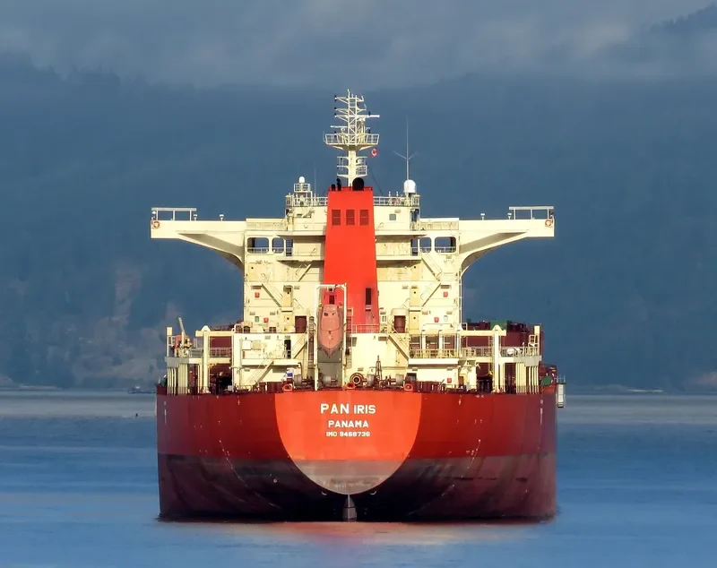 PAN IRIS Bulk Carrier IMO 9468736 photo 3