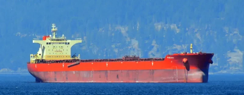 PAN IRIS Bulk Carrier IMO 9468736 photo 5