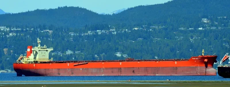 PAN IRIS Bulk Carrier IMO 9468736 photo 6