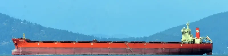 PAN IRIS Bulk Carrier IMO 9468736 photo 8