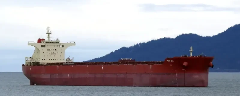PAN IRIS Bulk Carrier IMO 9468736 photo 10