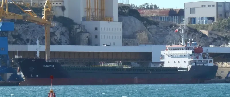 RIMONA Bulk Carrier IMO 9468750 photo 3