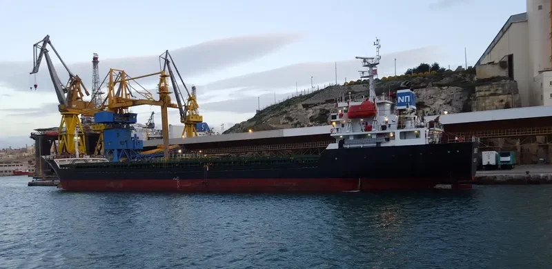 RIMONA Bulk Carrier IMO 9468750 photo 4