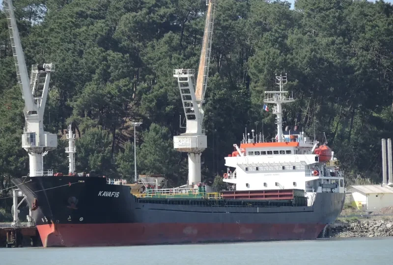 RIMONA Bulk Carrier IMO 9468750 photo 5
