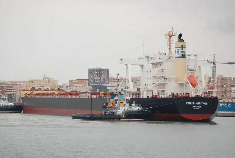 VENUS HERITAGE Bulk Carrier IMO 9468786 photo 8