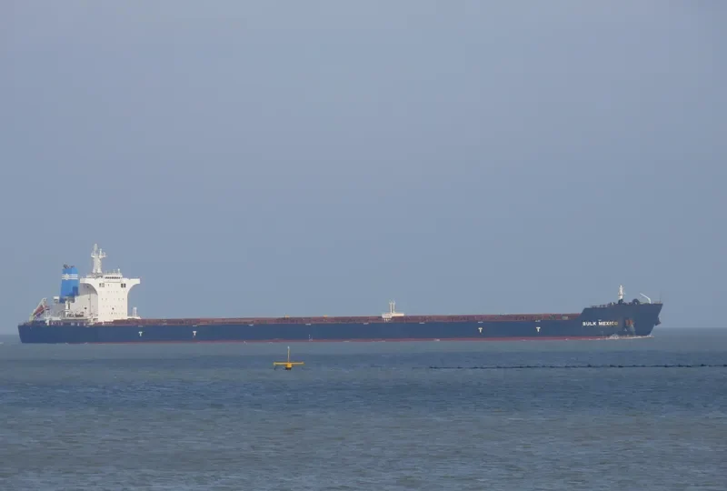 BULK MEXICO Bulk Carrier IMO 9469003 photo 2
