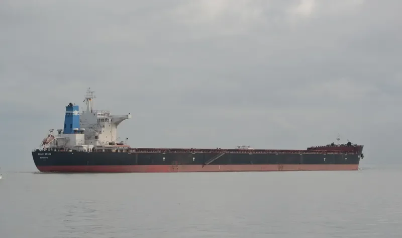 BULK SPAIN Bulk Carrier IMO 9469015 photo 4
