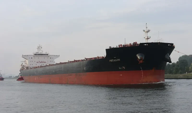 PETALON Bulk Carrier IMO 9469041 photo 3