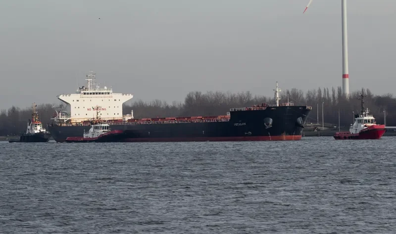 PETALON Bulk Carrier IMO 9469041 photo 4