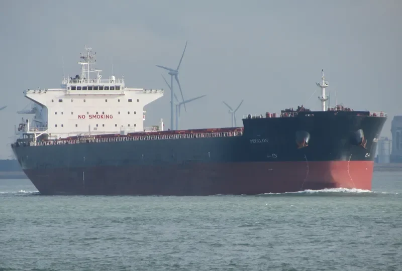 PETALON Bulk Carrier IMO 9469041 photo 7