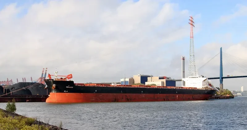 PETALON Bulk Carrier IMO 9469041 photo 9
