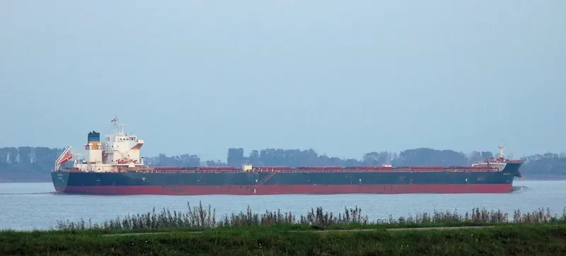PETALON Bulk Carrier IMO 9469041 photo 10