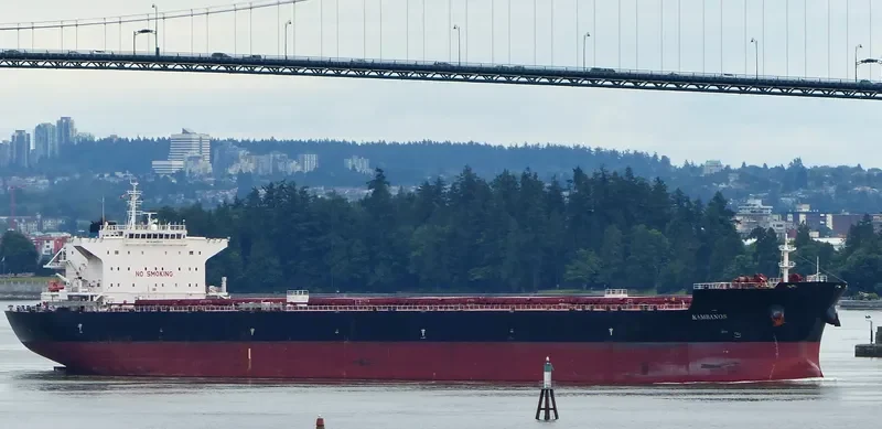 KAMBANOS Bulk Carrier IMO 9469053 photo 6