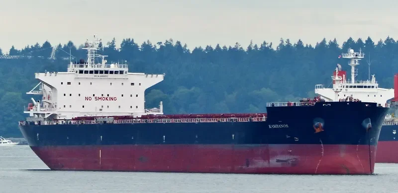 KAMBANOS Bulk Carrier IMO 9469053 photo 7