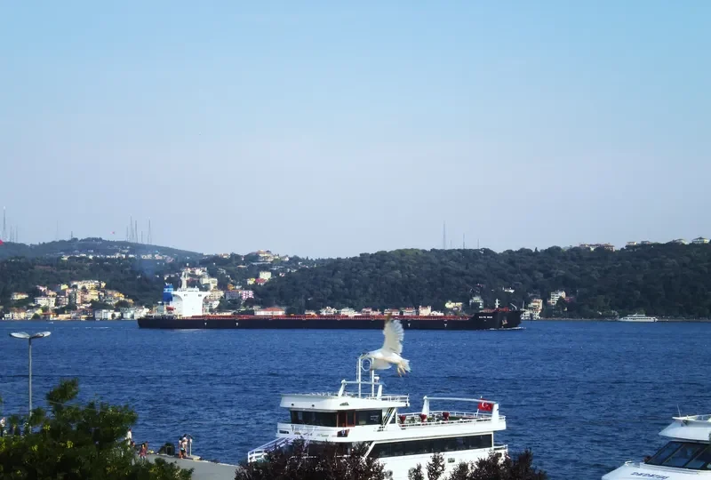 BALTIC BEAR Bulk Carrier IMO 9469259 photo 2