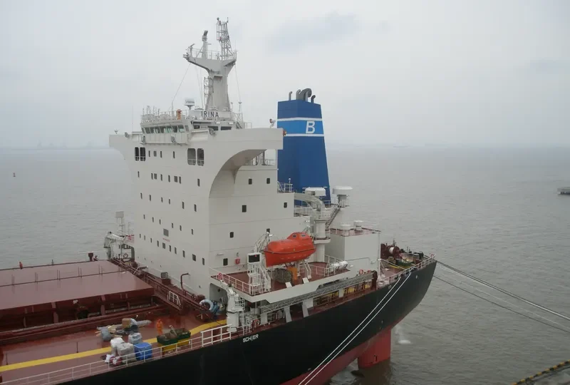 BALTIC BEAR Bulk Carrier IMO 9469259 photo 4