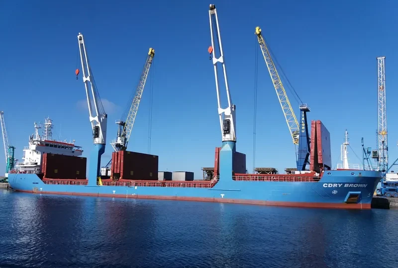 CDRY BROWN General Cargo IMO 9469302