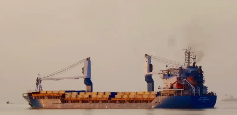 CDRY BROWN General Cargo IMO 9469302 photo 5