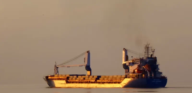 CDRY BROWN General Cargo IMO 9469302 photo 6