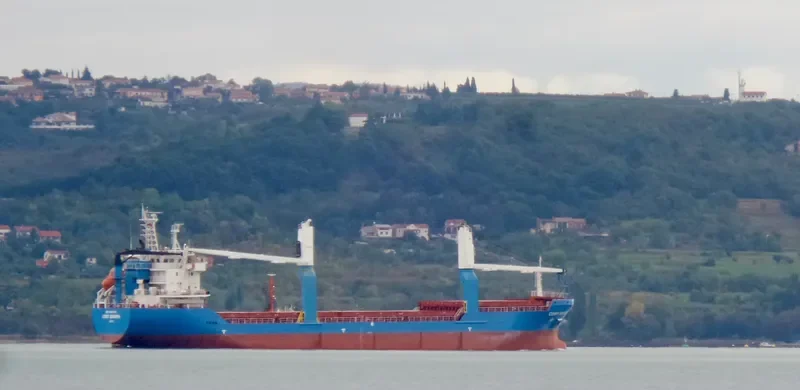 CDRY BROWN General Cargo IMO 9469302 photo 8
