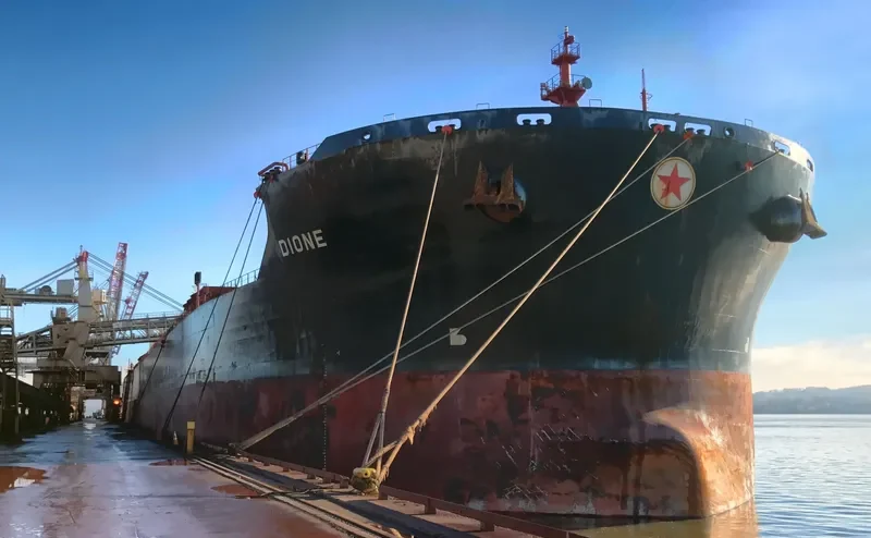 DIONE Bulk Carrier IMO 9469467