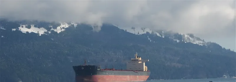 DIONE Bulk Carrier IMO 9469467 photo 2