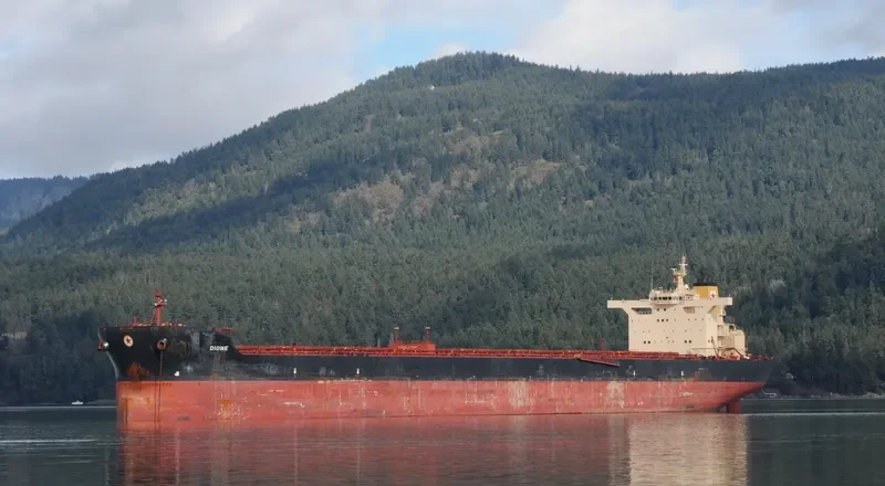 DIONE Bulk Carrier IMO 9469467 photo 3