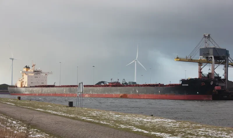 DIONE Bulk Carrier IMO 9469467 photo 7