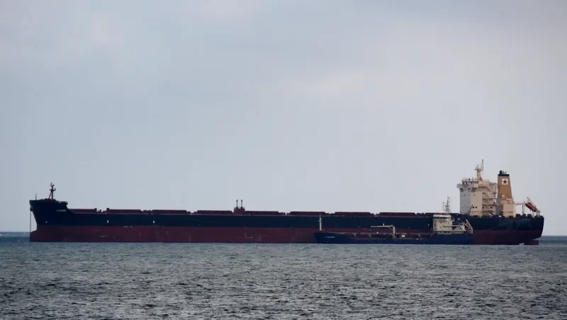 DIONE Bulk Carrier IMO 9469467 photo 8