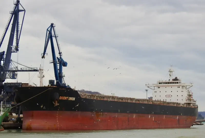ORIENT UNION Bulk Carrier IMO 9469493 photo 3