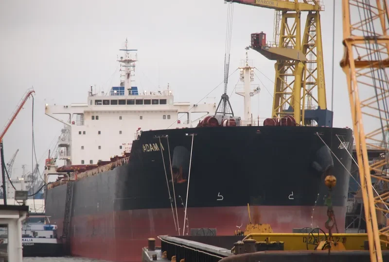 ADAM I Bulk Carrier IMO 9469508 photo 4