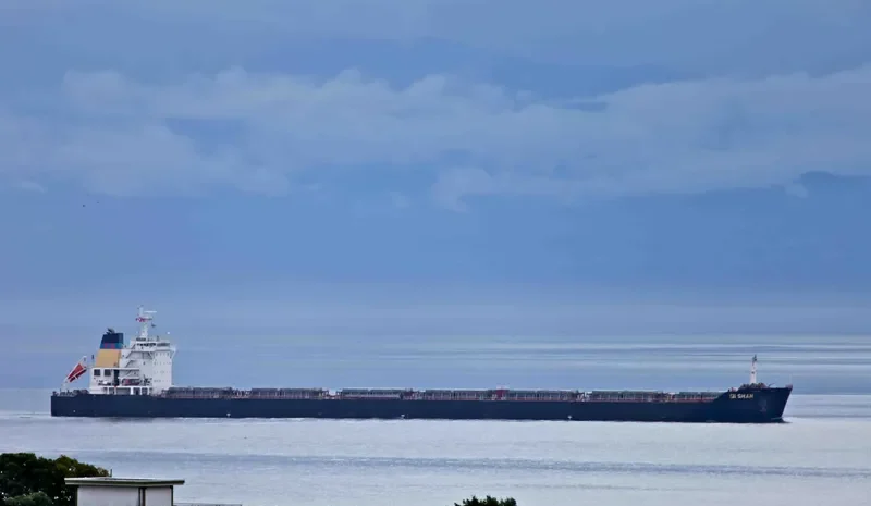 GIORGAKIS Bulk Carrier IMO 9469510 photo 2