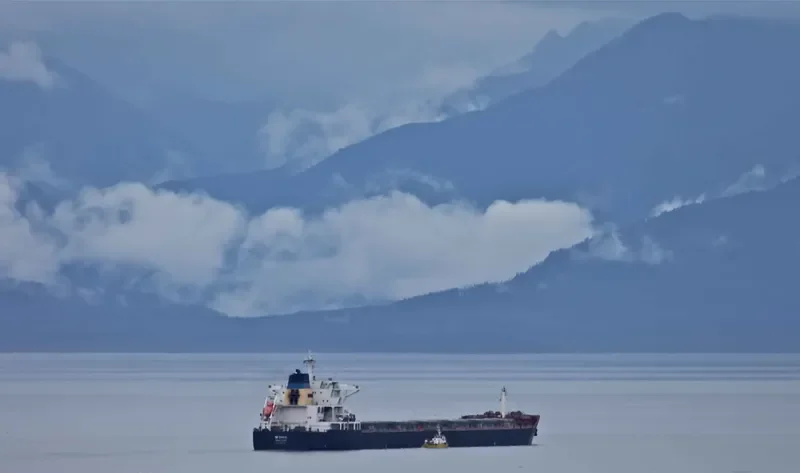 GIORGAKIS Bulk Carrier IMO 9469510 photo 3