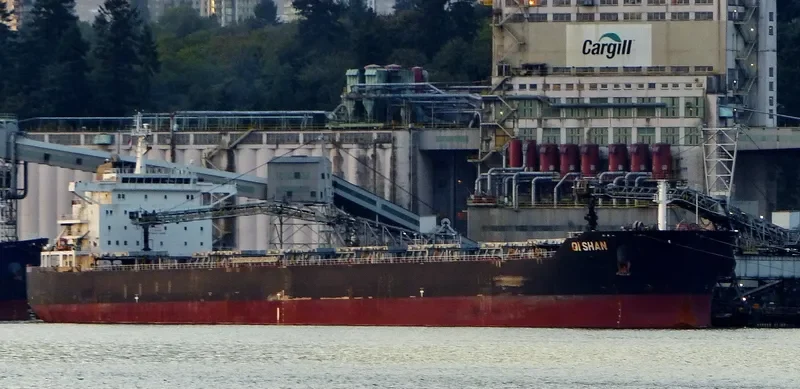 GIORGAKIS Bulk Carrier IMO 9469510 photo 4