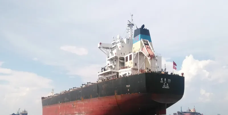 CHANG XIN 66 Bulk Carrier IMO 9469522 photo 2