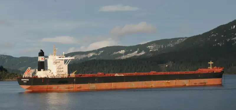 AQUAPRINCESS Bulk Carrier IMO 9469558 photo 7