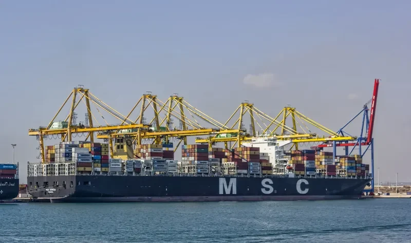MSC TERESA Container Ship IMO 9469560 photo 4
