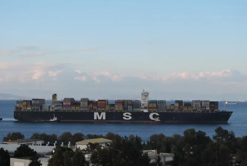 MSC TERESA Container Ship IMO 9469560 photo 5