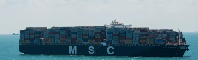 MSC TERESA Container Ship IMO 9469560 photo 8