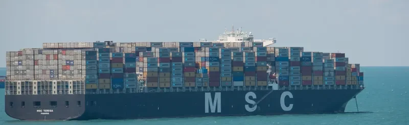MSC TERESA Container Ship IMO 9469560 photo 9