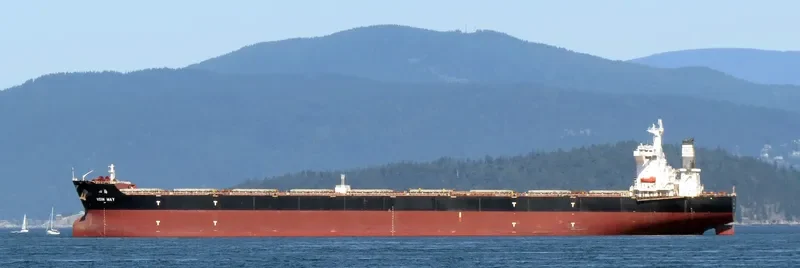 MSXT TRINITY Bulk Carrier IMO 9469637 photo 2