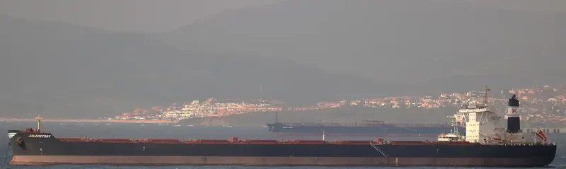 AQUAVICTORY Bulk Carrier IMO 9469699