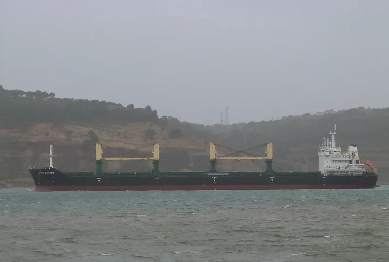 NILE CONFIDANTE Bulk Carrier IMO 9469833 photo 9