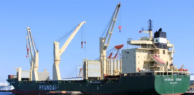 HYUNDAI DUBAI General Cargo IMO 9469900 photo 2