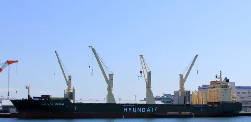 HYUNDAI DUBAI General Cargo IMO 9469900 photo 3