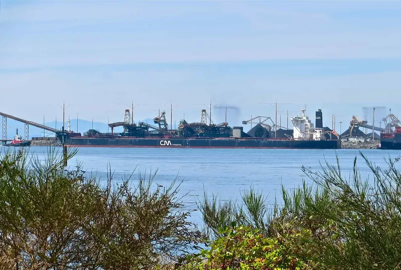 CAPE TRADER Bulk Carrier IMO 9469962 photo 6