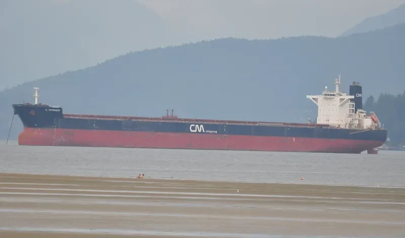CAPE TRADER Bulk Carrier IMO 9469962 photo 9