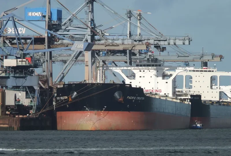 PACIFIC CREATION Bulk Carrier IMO 9469974 photo 2