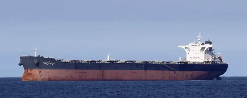 PACIFIC ARGOSY Bulk Carrier IMO 9469986 photo 2